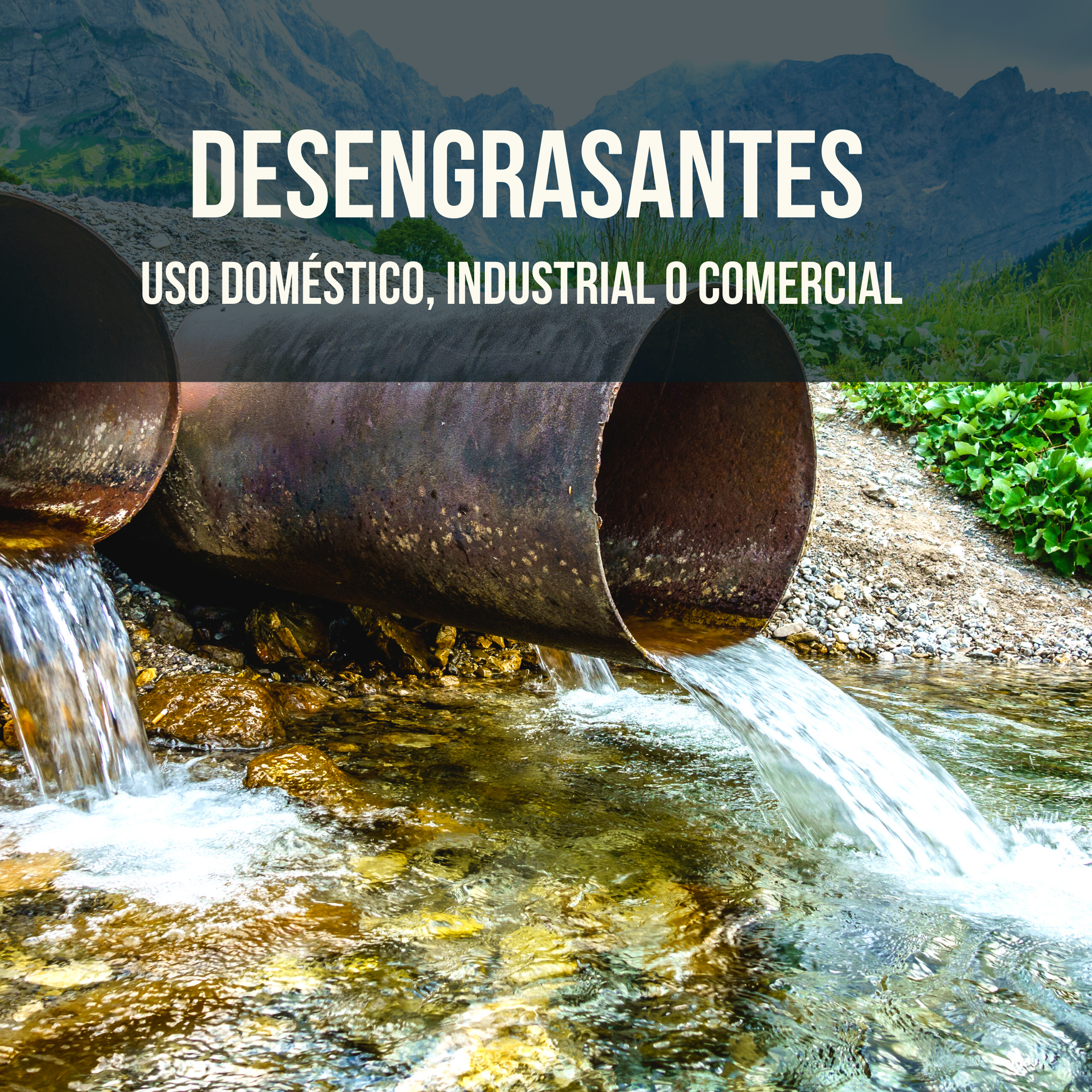 Desengrasante  en México 